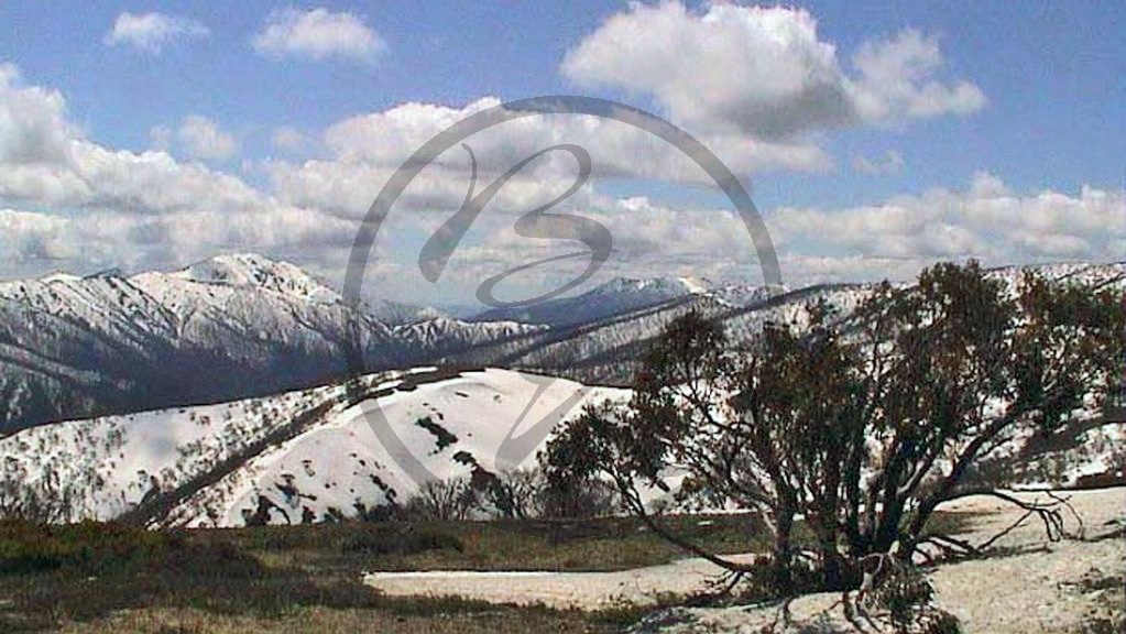 Alpine National Park, Hotham Heights.jpg