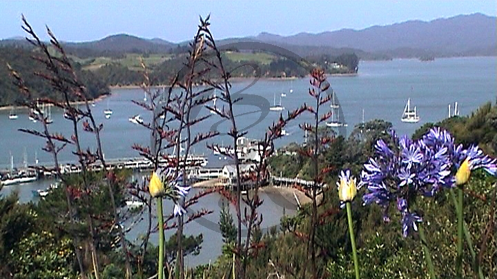 Hafen Paihia NZ-Nord (2001)_02.jpg