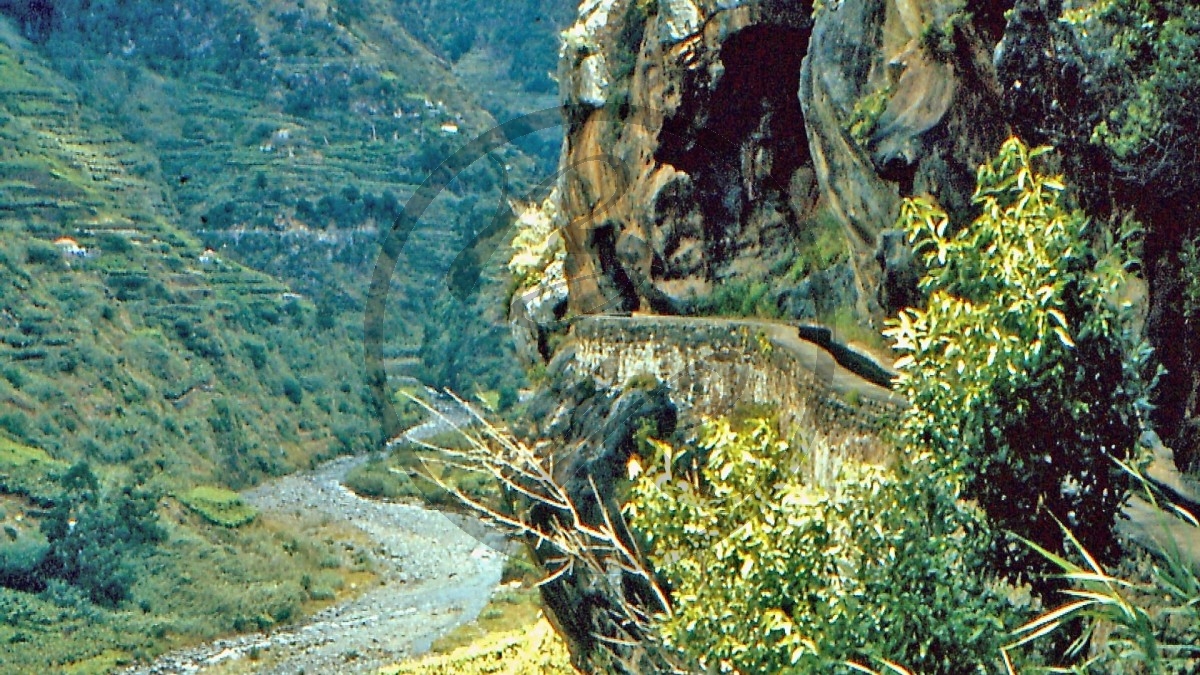 Madeira Levada_A10-01-45.jpg