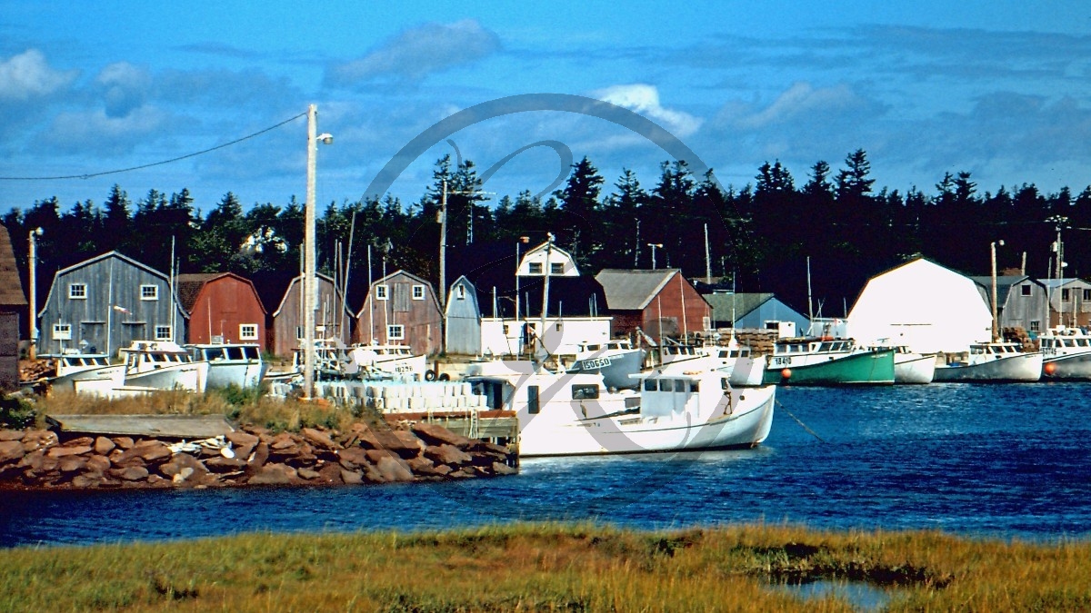 Prince Edward Island_C12-12-07.jpg