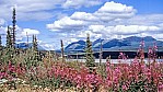 Alaska Wrangell Mountains _C01-05-15.jpg