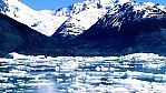 Argentinien Lago Argentino (2000)_066.JPG