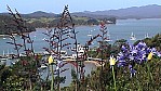 Hafen Paihia NZ-Nord (2001)_02.jpg