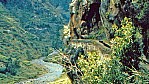 Madeira Levada_A10-01-45.jpg