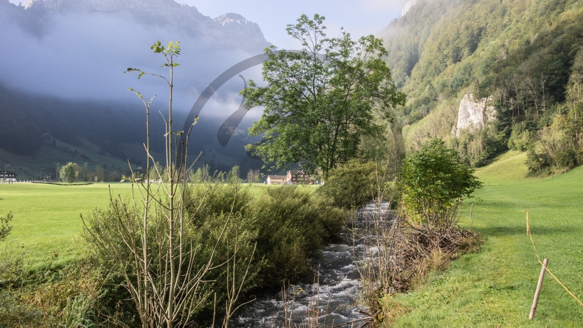 2014_Appenzell_006_2975.jpg