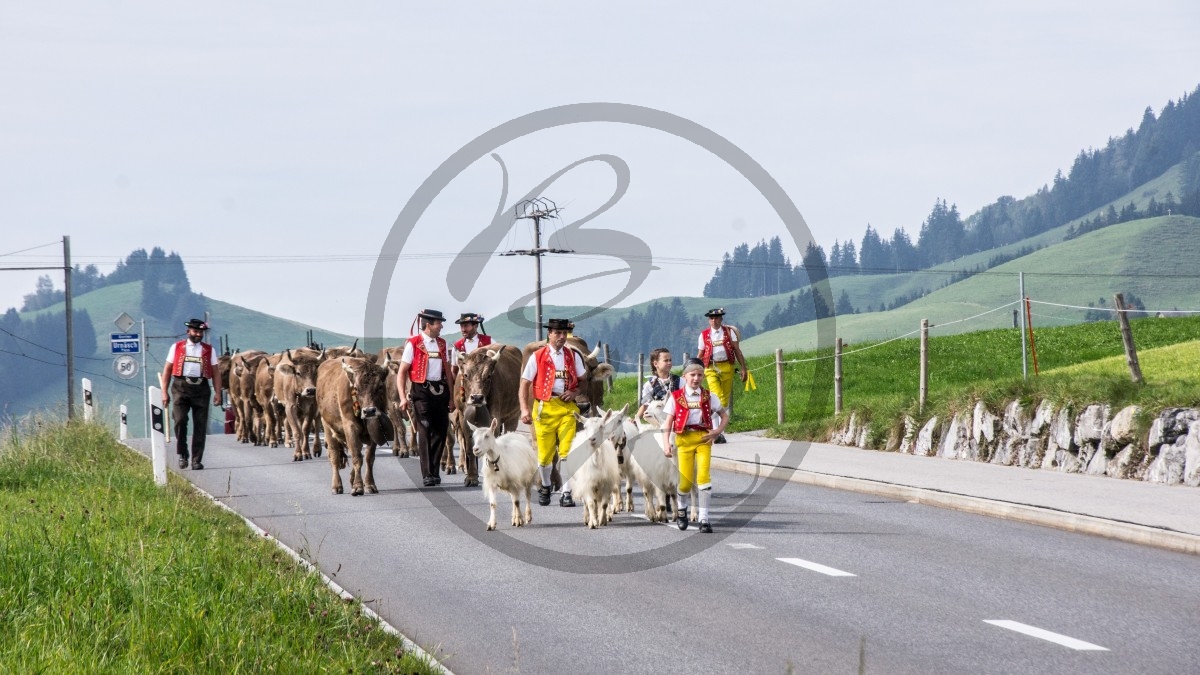 2014_Appenzell_072_3029.jpg