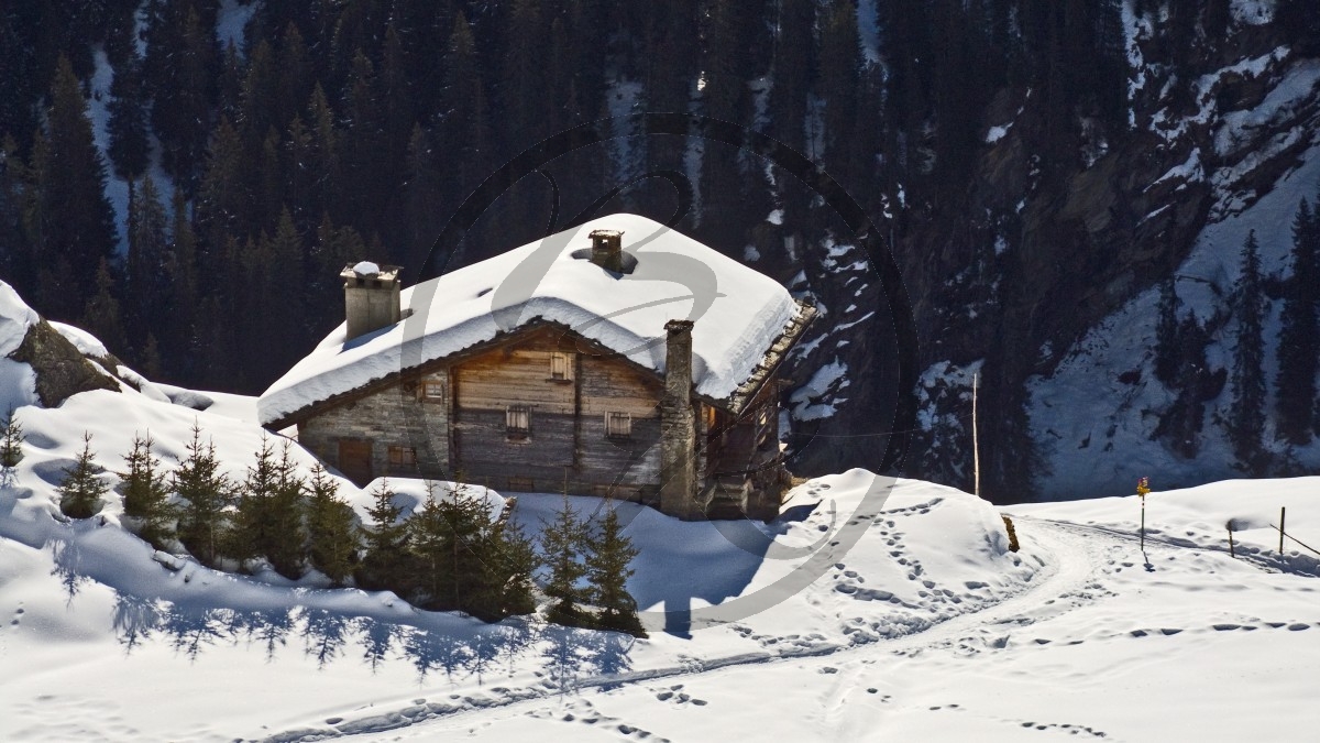 2010_Vals_0665.jpg