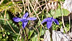 2014_Appenzell_060_3018.jpg