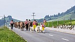 2014_Appenzell_072_3029.jpg