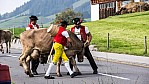 2014_Appenzell_082_3035.jpg