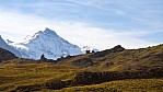 Grindelwald_C0322.jpg