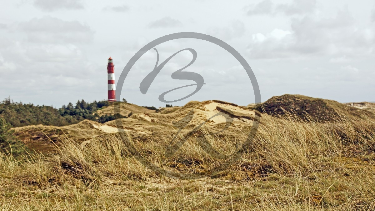 Amrum Leuchtturm.jpg