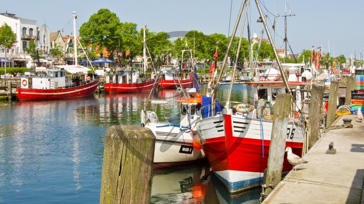 Warnemünde Hafen.jpg