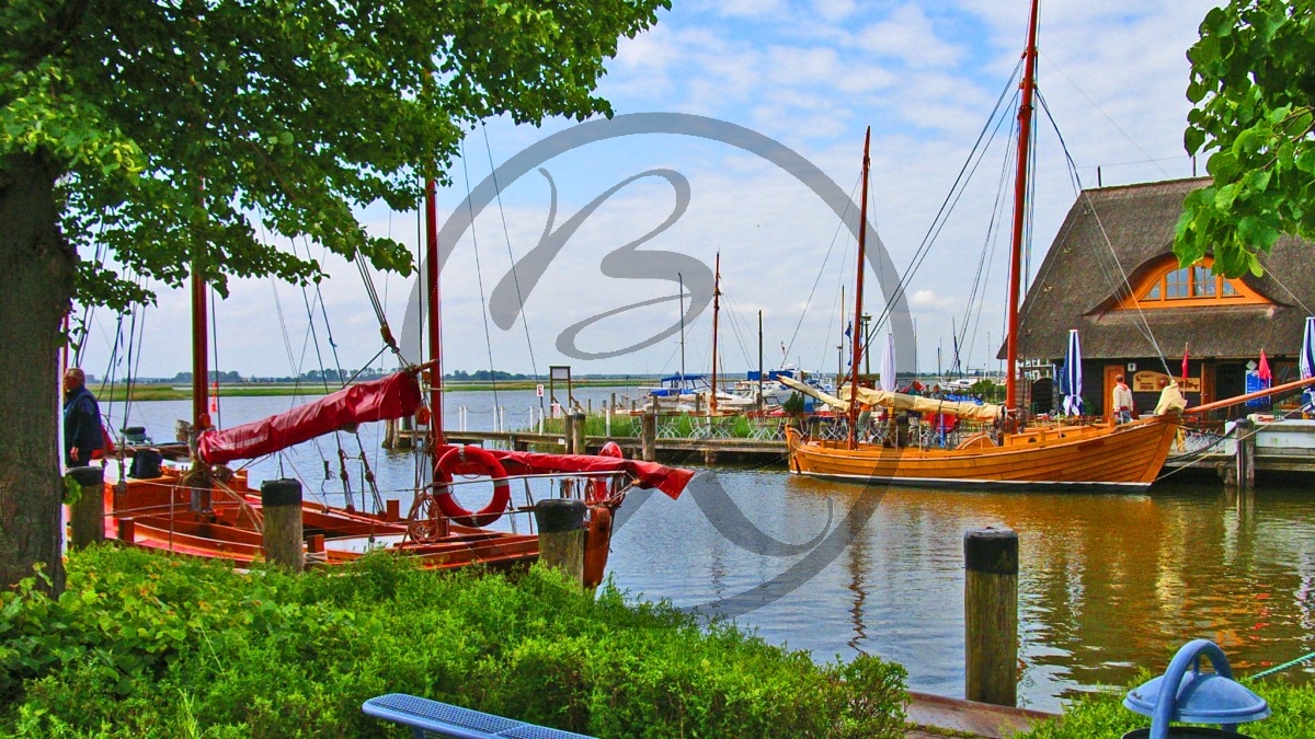 Zingst Hafen.jpg