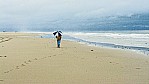 Amrum Strand.jpg