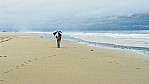 Amrum Strand.jpg