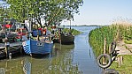 Usedom Achterwasser  Fischerboote.jpg