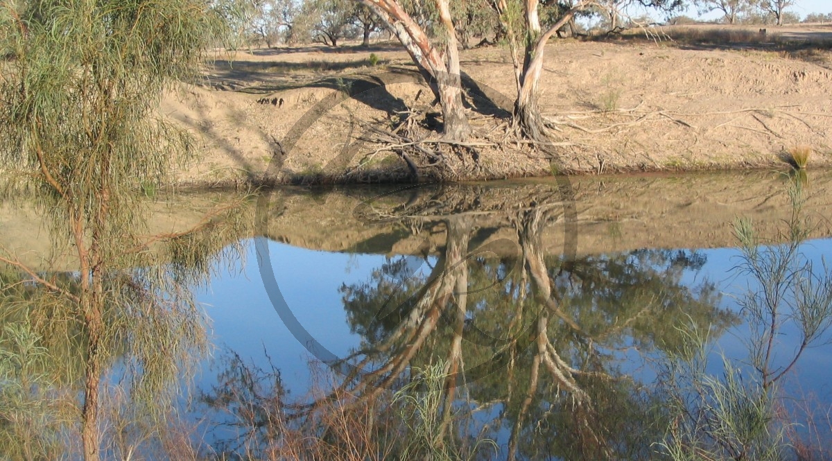 0632_(2007NSW)_C2753.jpg