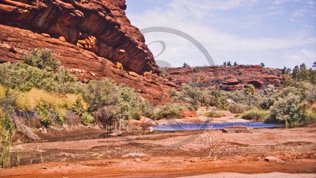 Finke Gorge Nationalpark - Palm Valley.jpg