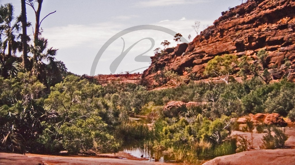 Finke Gorge Nationalpark - Palm Valley_4.jpg