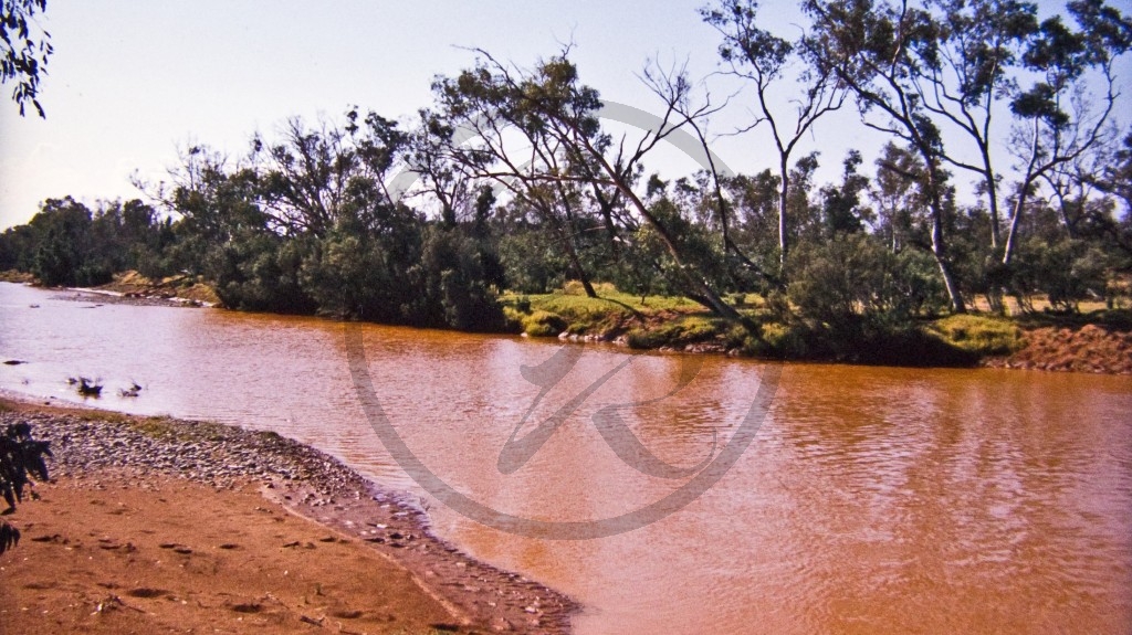 Finke River nach Regen.jpg