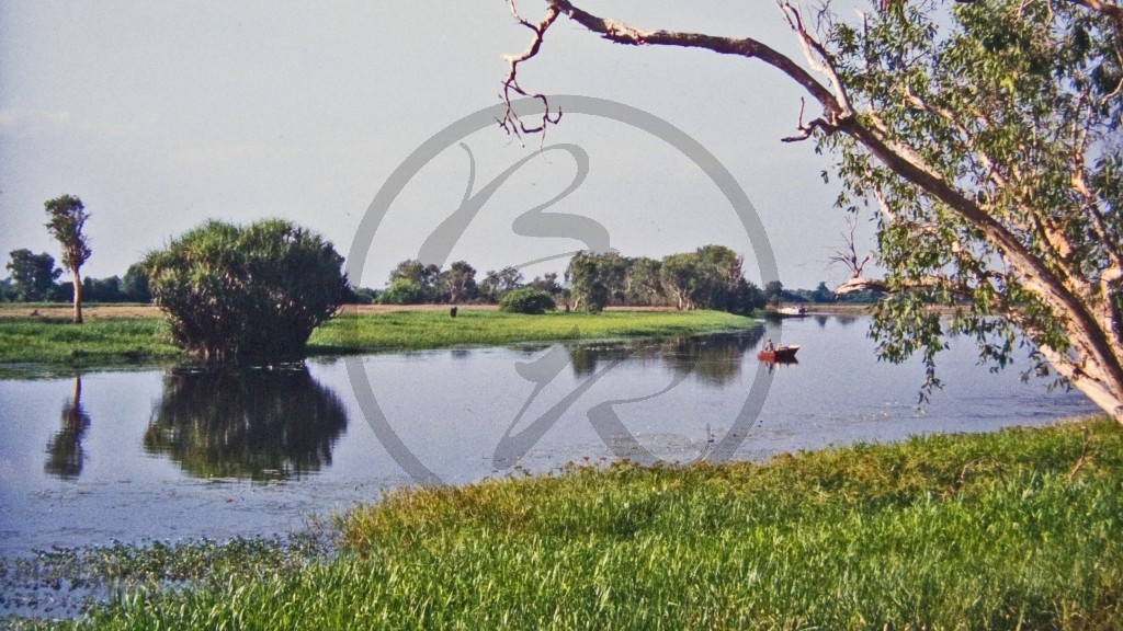 Kakadu Nationalpark - Yellow Water Billabong.jpg