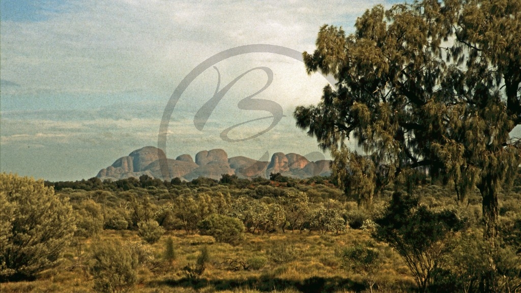 Kata Tjuta (Olgas).jpg