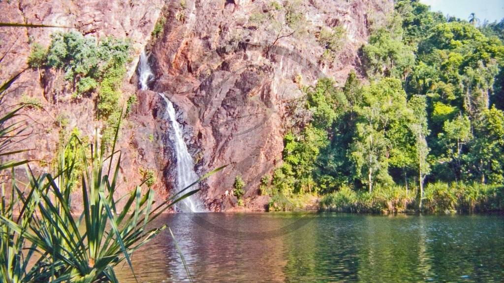 Litchfield Nationalpark - Wangi Falls.jpg