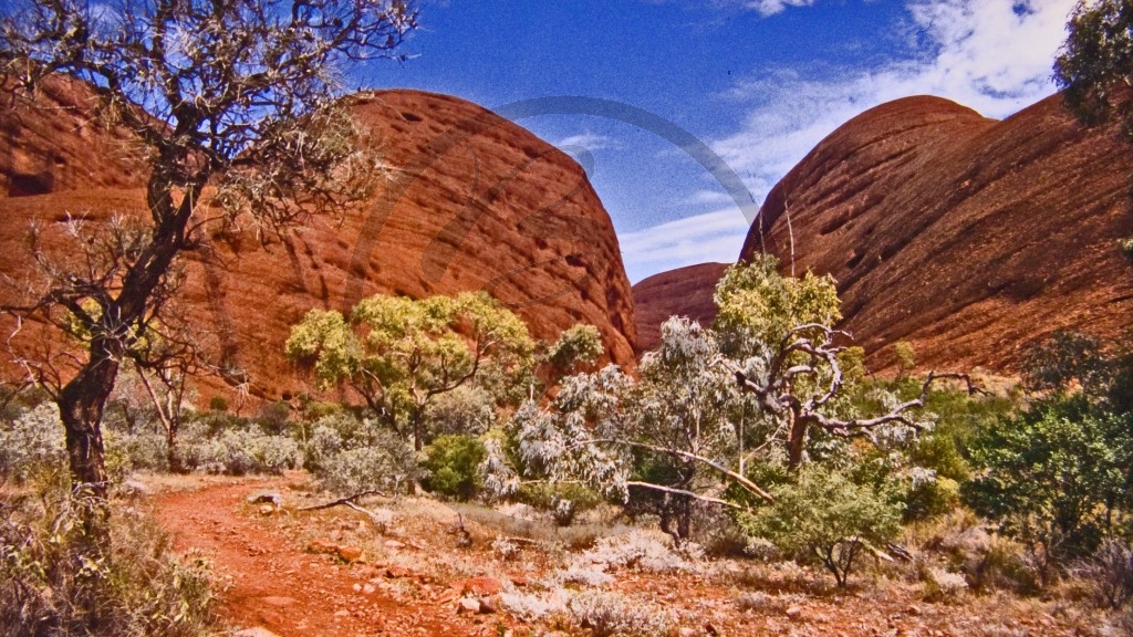Uluru Nationalpark - Kata Tjuta_3.jpg