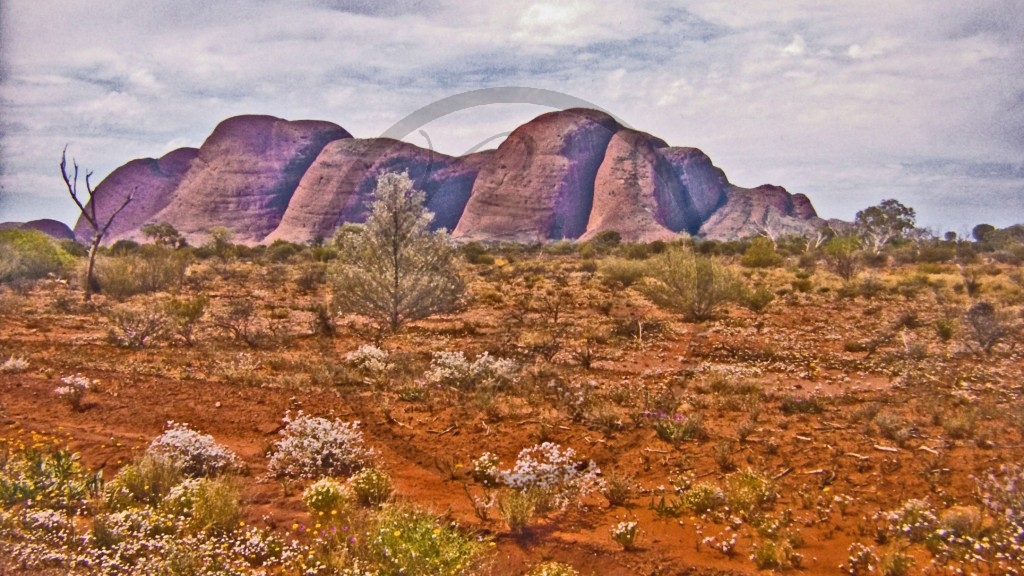 Uluru Nationalpark - Kata Tjuta_5.jpg