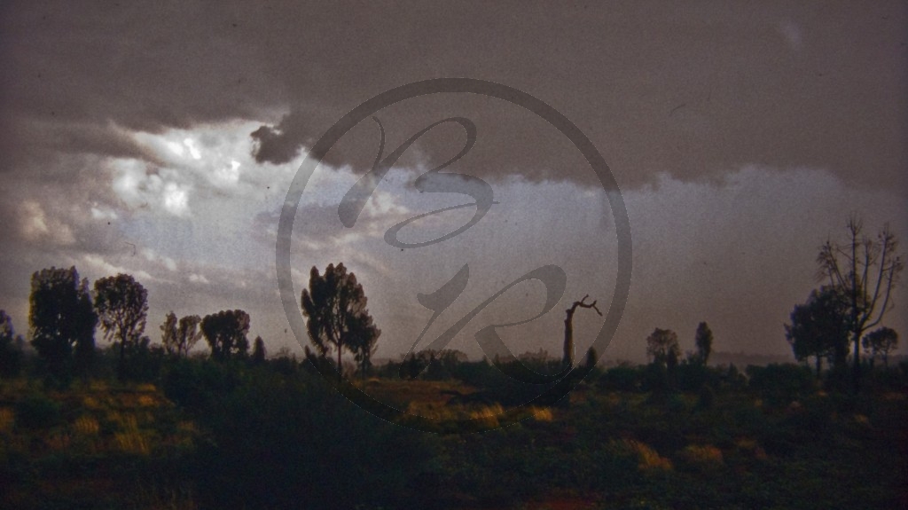 Uluru Nationalpark - Regen im Rad Center.jpg