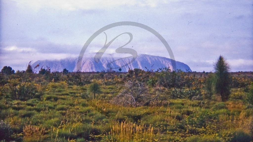 Uluru Nationalpark - Uluru nach Regenguss.jpg