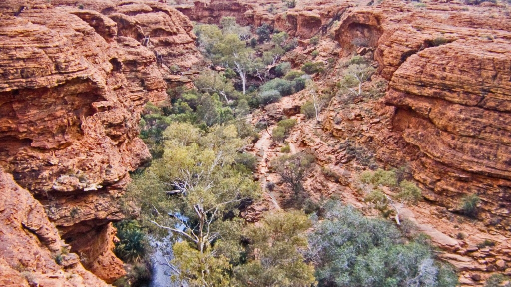 Watarrka Nationalpark - Kings Canyon - Garden of Eden.jpg