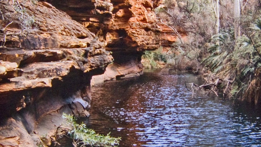 Watarrka Nationalpark - Kings Canyon - Garden of Eden_2.jpg