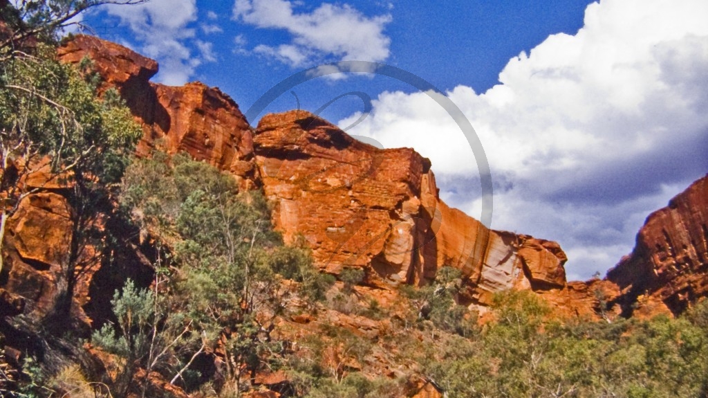 Watarrka Nationalpark - Kings Canyon.jpg