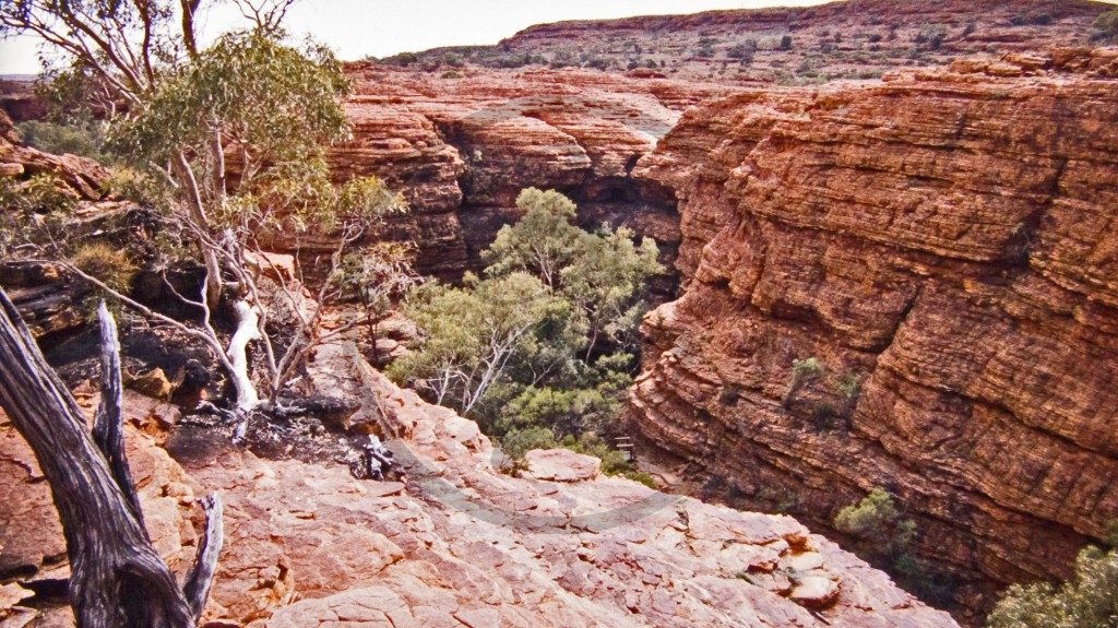 Watarrka Nationalpark - Kings Canyon_2.jpg