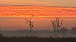 007_Kakadu NP - Yellow Water Billabong Morgenrot (2003NT).jpg