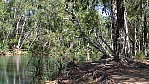 013_Douglas Hot Springs (NT-2003-011).jpg