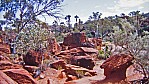 Finke Gorge Nationalpark - Palm Valley_2.jpg