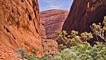 Uluru Nationalpark - Kata Tjuta_2.jpg