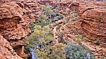 Watarrka Nationalpark - Kings Canyon - Garden of Eden.jpg