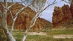 Western McDonnell Range - Ormiston Creek.jpg