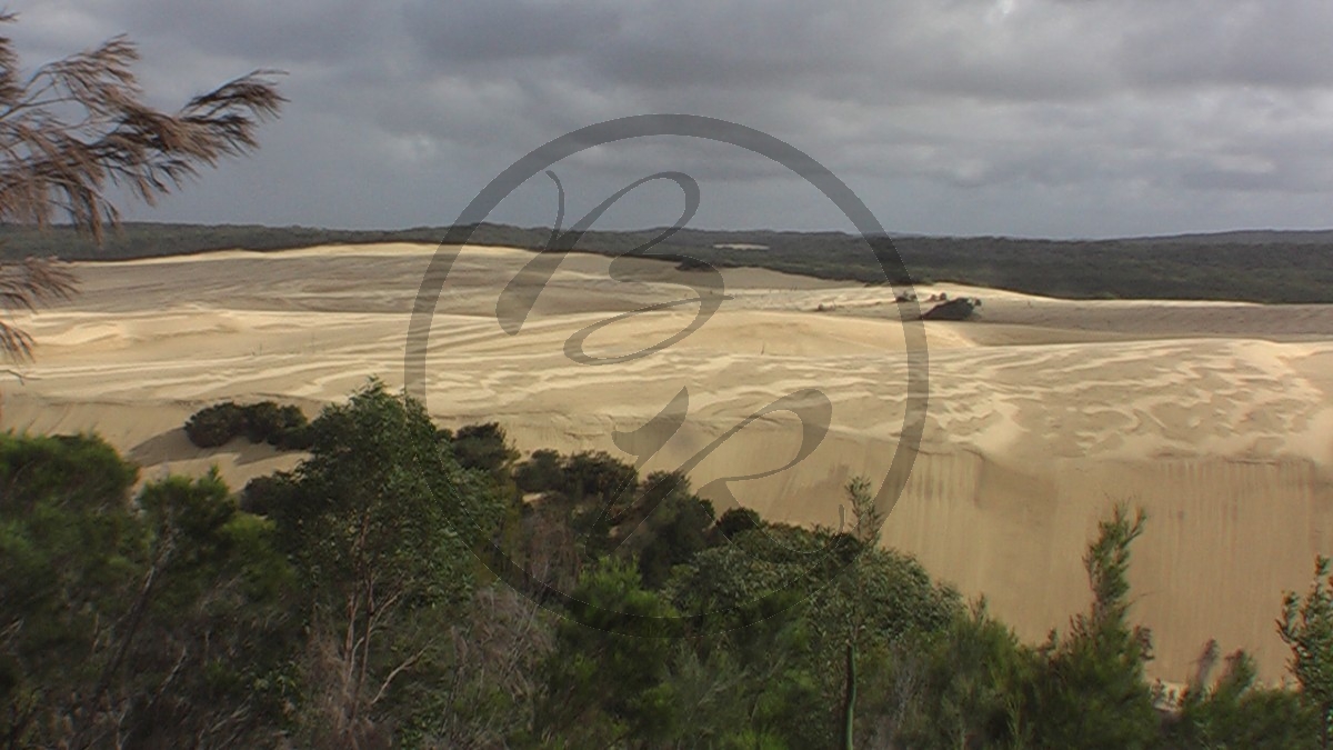 Fraser Island_P100-0484.jpg