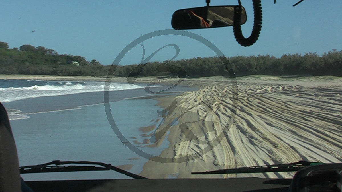 Fraser Island_P100-0507.jpg