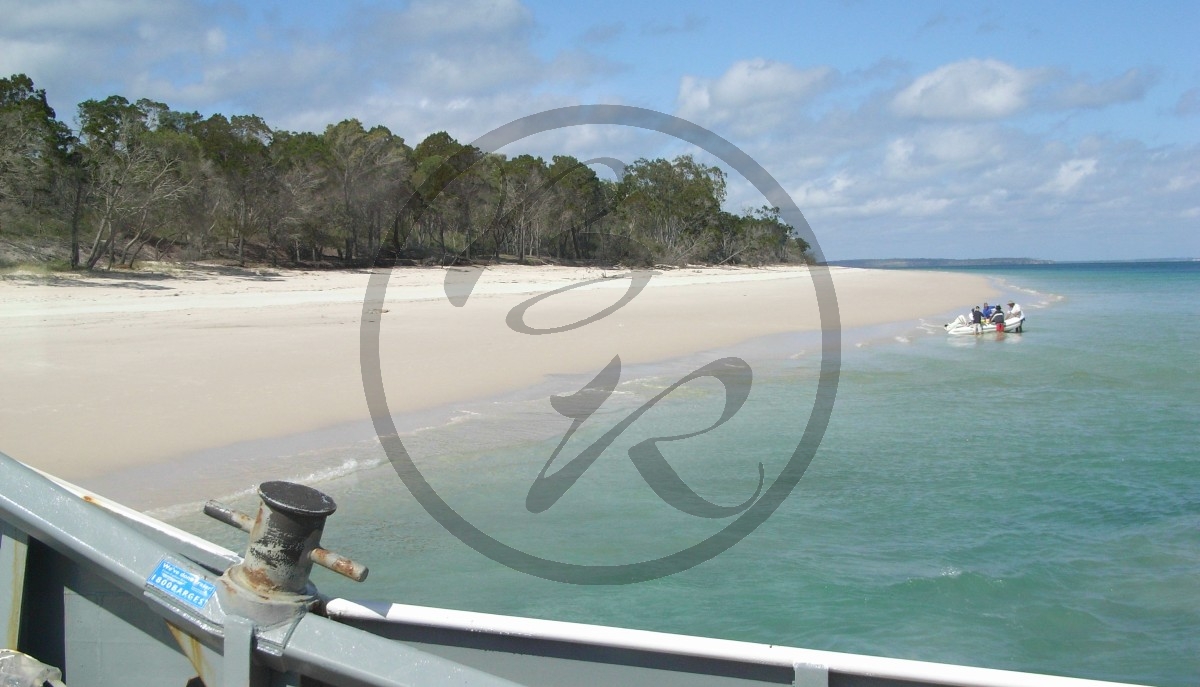 Fraser Island_R5a-1387.jpg