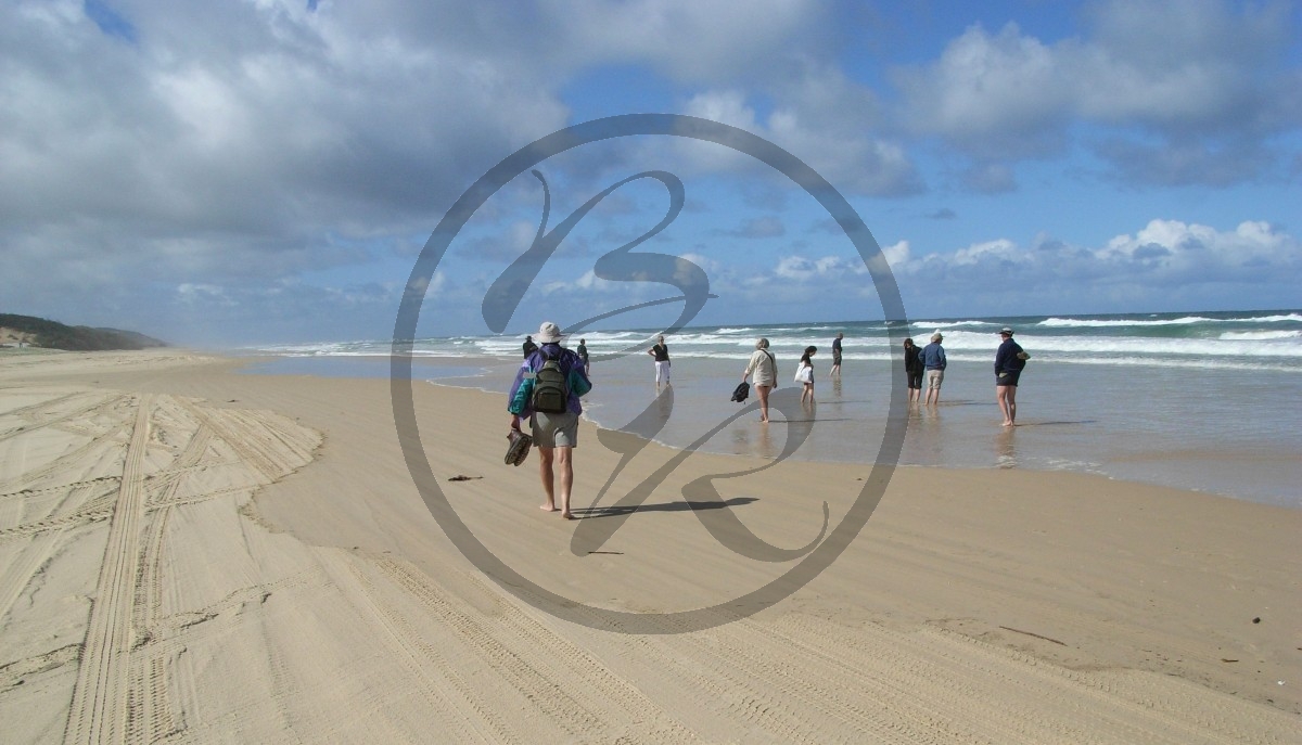 Fraser Island_R5a-1397.jpg