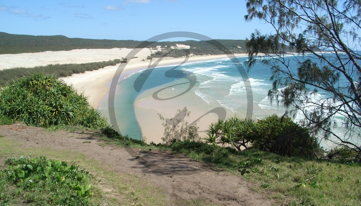 Fraser Island_R5a-1424.jpg