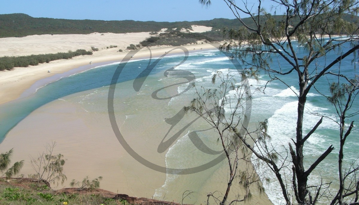 Fraser Island_R5a-1426.jpg