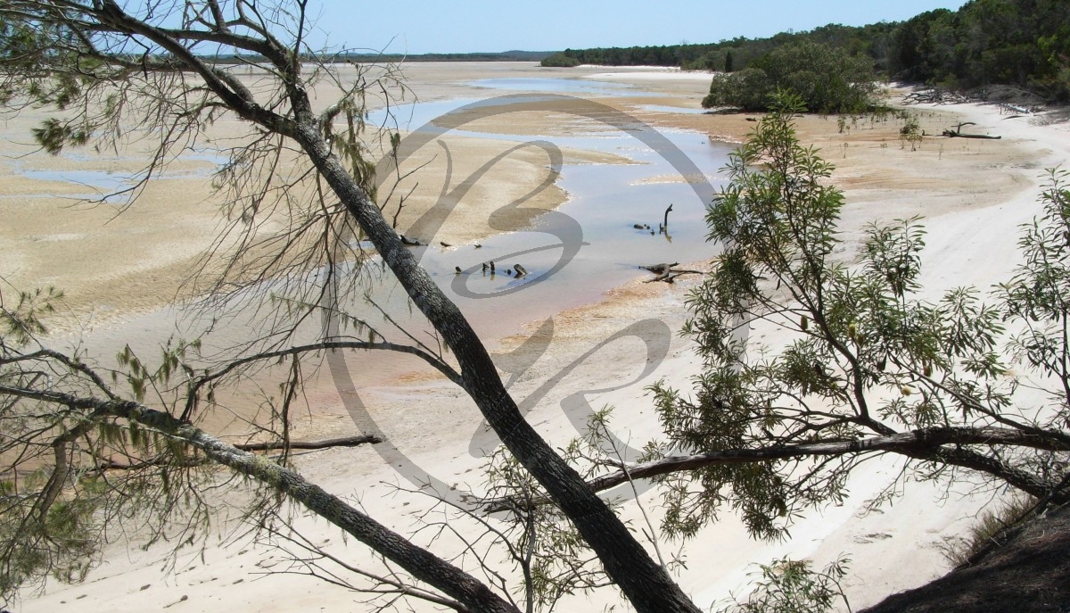 Fraser Island_R5a-1429.jpg