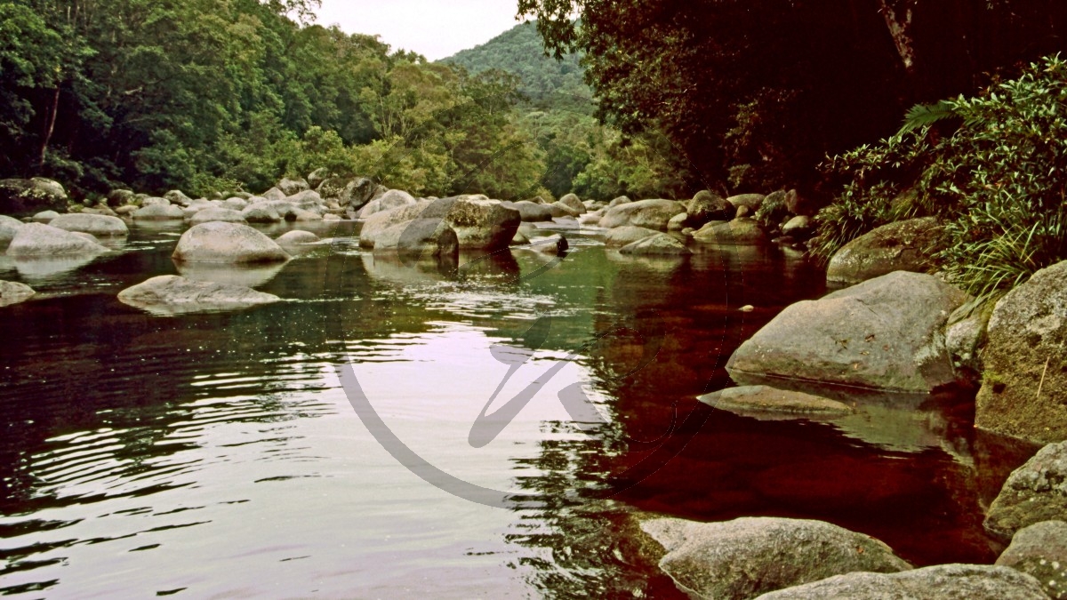 Mossman Gorge_C04-01-41.jpg